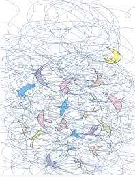 2007summer.png