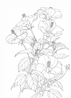 花　大庭 のコピー.png