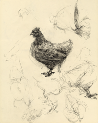 鳥１.png
